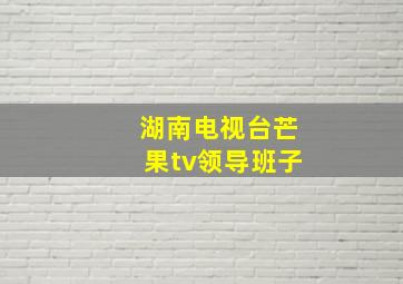 湖南电视台芒果tv领导班子