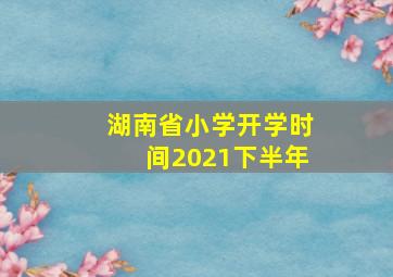 湖南省小学开学时间2021下半年