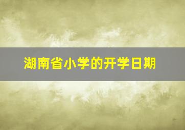 湖南省小学的开学日期