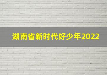 湖南省新时代好少年2022