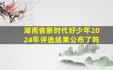 湖南省新时代好少年2024年评选结果公布了吗