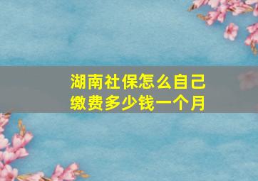 湖南社保怎么自己缴费多少钱一个月