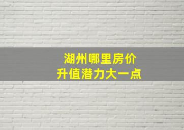 湖州哪里房价升值潜力大一点