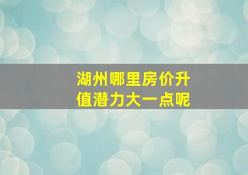 湖州哪里房价升值潜力大一点呢