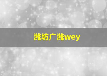 潍坊广潍wey