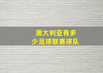 澳大利亚有多少足球联赛球队