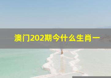 澳门202期今什么生肖一