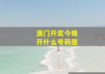 澳门开奖今晚开什么号码图