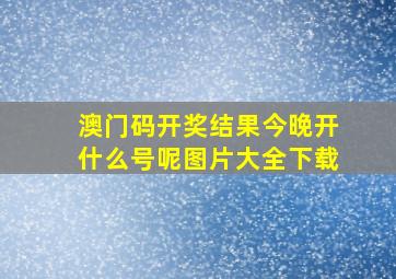 澳门码开奖结果今晚开什么号呢图片大全下载