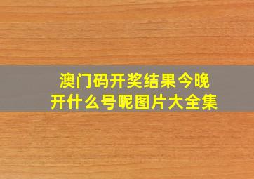 澳门码开奖结果今晚开什么号呢图片大全集