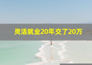 灵活就业20年交了20万