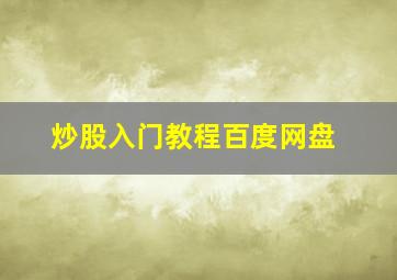 炒股入门教程百度网盘