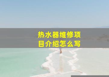 热水器维修项目介绍怎么写