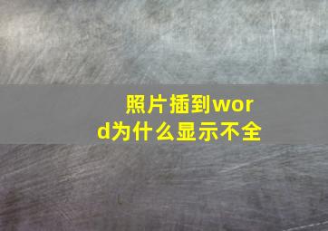 照片插到word为什么显示不全