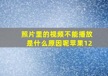 照片里的视频不能播放是什么原因呢苹果12