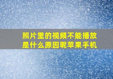 照片里的视频不能播放是什么原因呢苹果手机