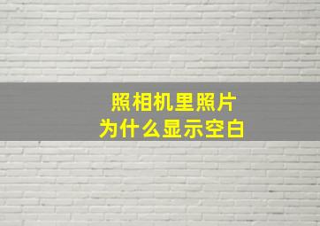 照相机里照片为什么显示空白