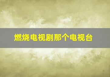 燃烧电视剧那个电视台