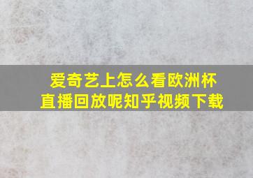 爱奇艺上怎么看欧洲杯直播回放呢知乎视频下载