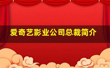 爱奇艺影业公司总裁简介