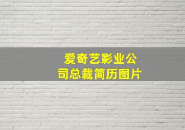 爱奇艺影业公司总裁简历图片