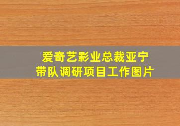 爱奇艺影业总裁亚宁带队调研项目工作图片