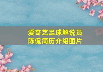 爱奇艺足球解说员陈侃简历介绍图片