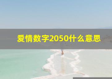 爱情数字2050什么意思