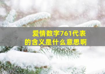 爱情数字761代表的含义是什么意思啊