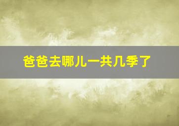 爸爸去哪儿一共几季了