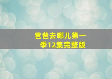 爸爸去哪儿第一季12集完整版