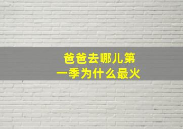 爸爸去哪儿第一季为什么最火