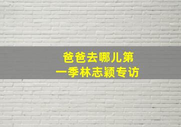 爸爸去哪儿第一季林志颖专访