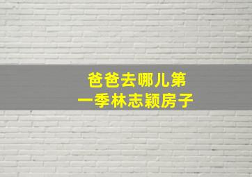 爸爸去哪儿第一季林志颖房子