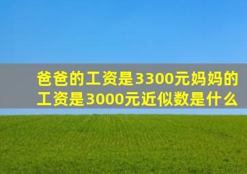 爸爸的工资是3300元妈妈的工资是3000元近似数是什么