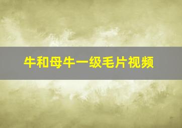 牛和母牛一级毛片视频