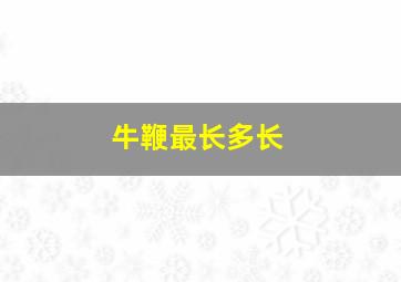 牛鞭最长多长