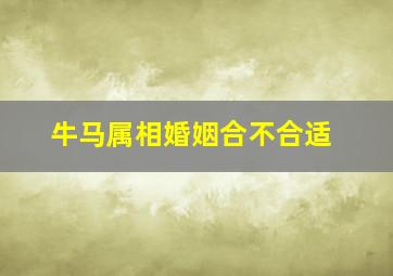 牛马属相婚姻合不合适