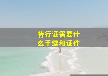 特行证需要什么手续和证件