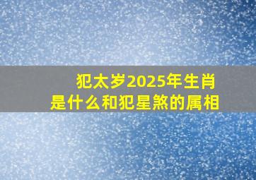 犯太岁2025年生肖是什么和犯星煞的属相