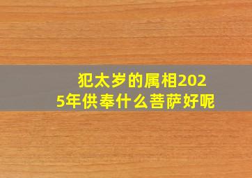 犯太岁的属相2025年供奉什么菩萨好呢