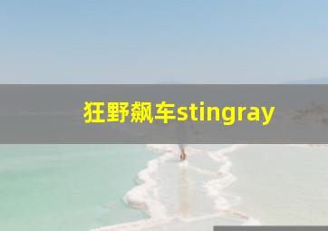 狂野飙车stingray