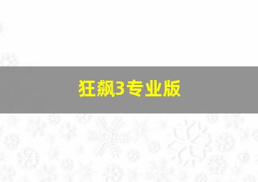 狂飙3专业版