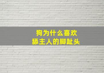 狗为什么喜欢舔主人的脚趾头