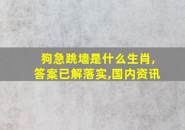 狗急跳墙是什么生肖,答案已解落实,国内资讯