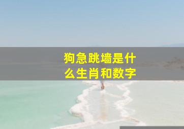 狗急跳墙是什么生肖和数字