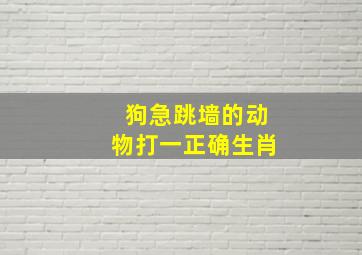 狗急跳墙的动物打一正确生肖