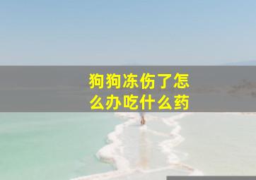 狗狗冻伤了怎么办吃什么药