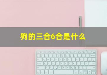 狗的三合6合是什么