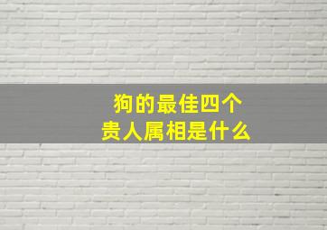 狗的最佳四个贵人属相是什么